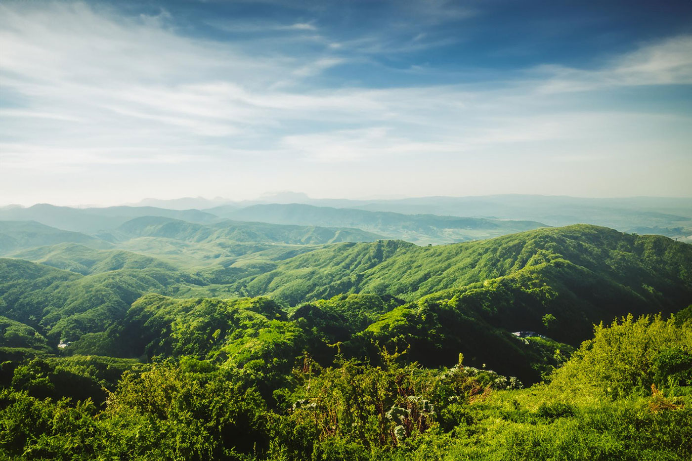 Environmental Management